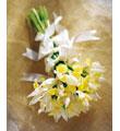 The FTD� Beloved� Bridal Bouquet